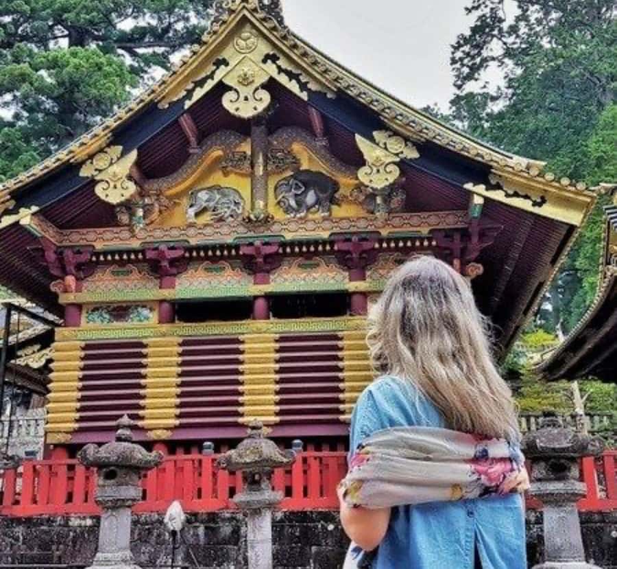 From Tokyo: Nikko Full Day Private Tour with English Guide - Why Choose This Tour?