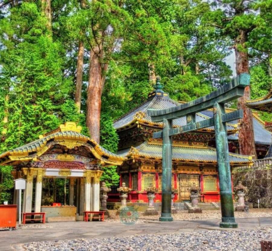From Tokyo: Nikko Full Day Private Tour with English Guide - Final Thoughts