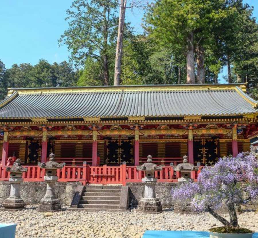 From Tokyo: Nikko Full Day Private Tour with English Guide - Price & Value Analysis