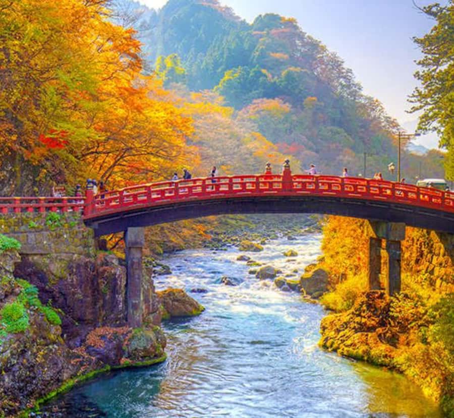 From Tokyo: Nikko Private Full-Day Heritage & Nature Tour - Discovering Nikko: The Details of the Tour