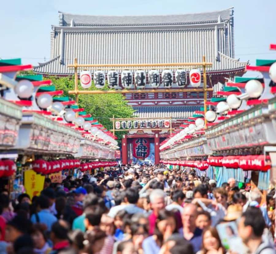 Tokyo Full Day Customizable Private Tour with English Guide - Good To Know