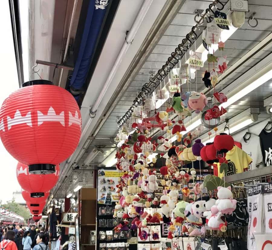 Tokyo Full Day Customizable Private Tour with English Guide - Who Is This Tour Best For?