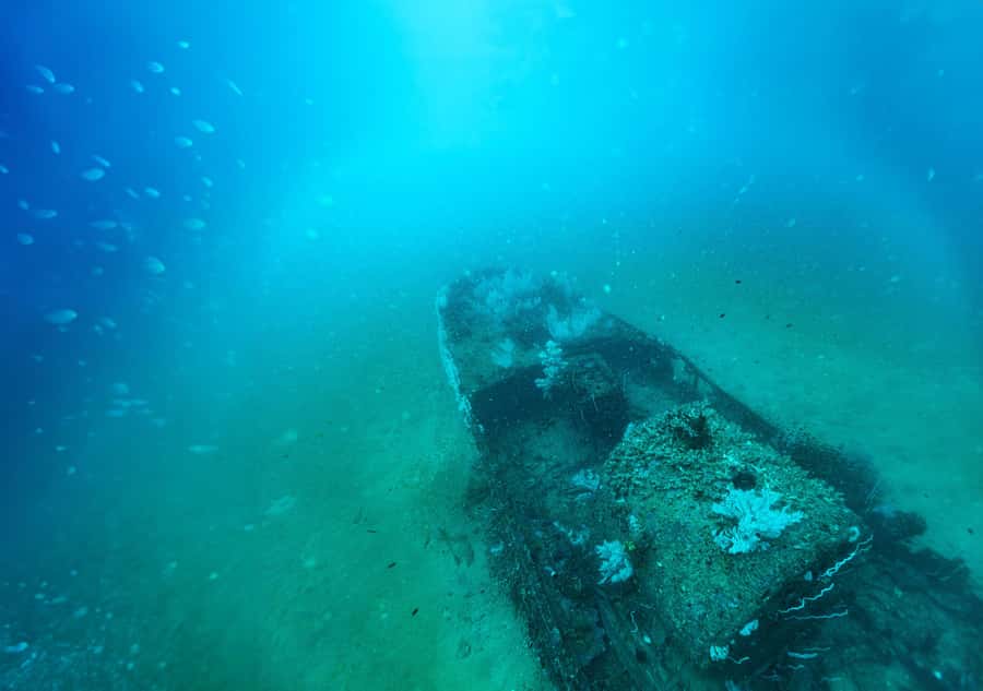 Colombo: Shipwreck Diving Experience within the city - Final Thoughts