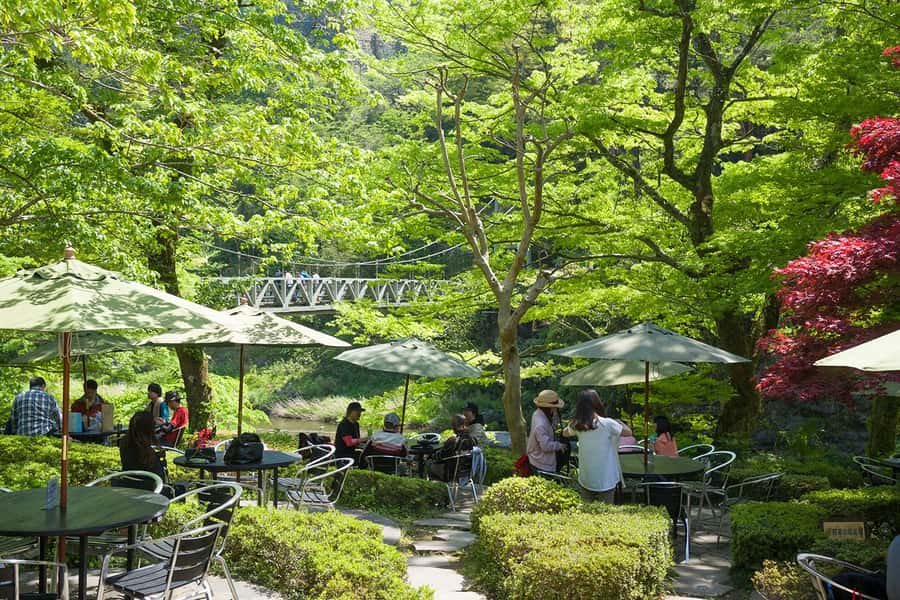 Tokyo: Sake and Beer Brewery - A Deep Dive into the Experience