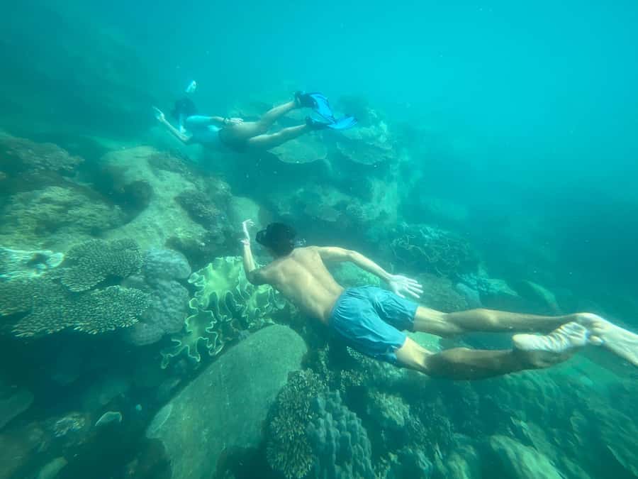 Phu Quoc: Snorkeling & Island Discovery Full-Day Tour - How the Tour Works: A Complete Breakdown