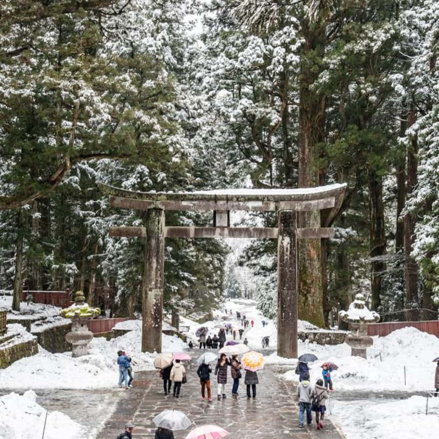 Tokyo: Nikko Chzen-ji Temple Private Full Customizable Tour - Who Should Consider This Tour?