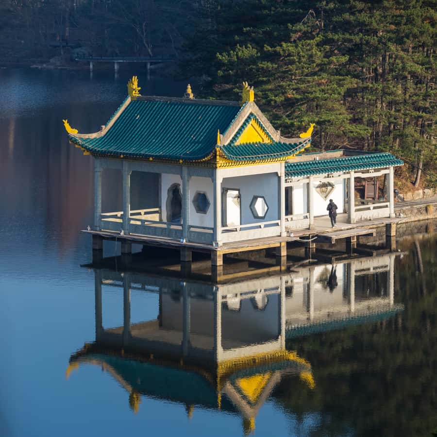 Tokyo: Nikko Chzen-ji Temple Private Full Customizable Tour - Key Points