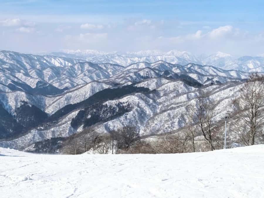 From Osaka or Kyoto: Hakodateyama & Okuibuki Ski 2-Day Trip - Key Points