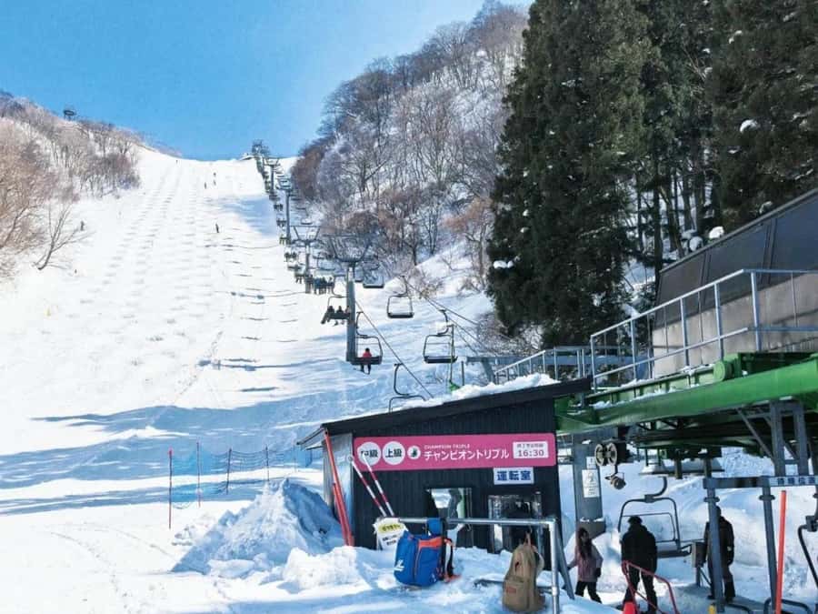 From Osaka or Kyoto: Hakodateyama & Okuibuki Ski 2-Day Trip - Final Thoughts