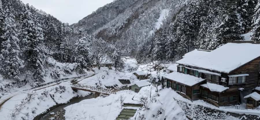 From Tokyo: Nagano Day Private Tour With English Driver - Potential Drawbacks or Considerations