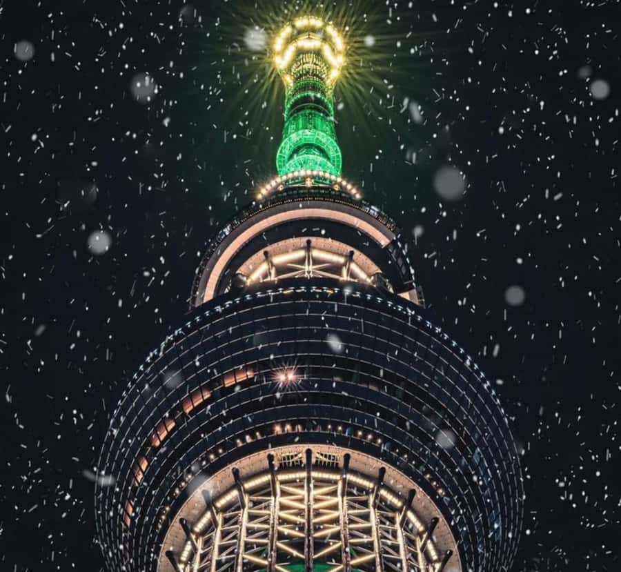 Tokyo: Private Izu Peninsula & Shimoda Day Trip - Final Thoughts