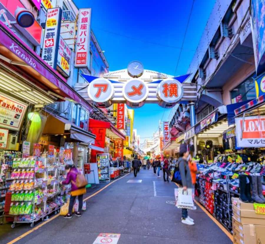 Tokyo: Private Izu Peninsula & Shimoda Day Trip - FAQ