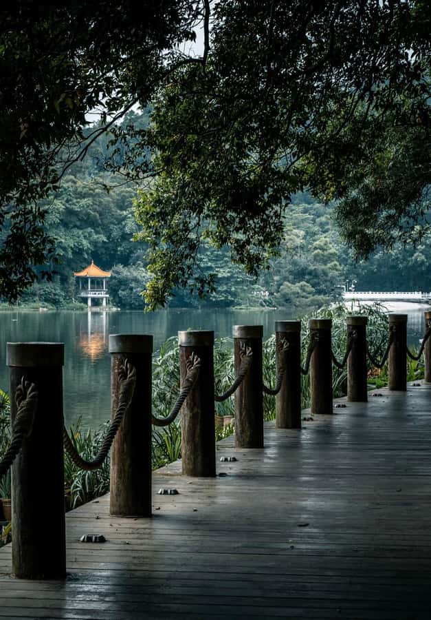 Shenzhen East: Dapeng Fortress, Temple, and Beach Day Tour - Practical Considerations and Tips