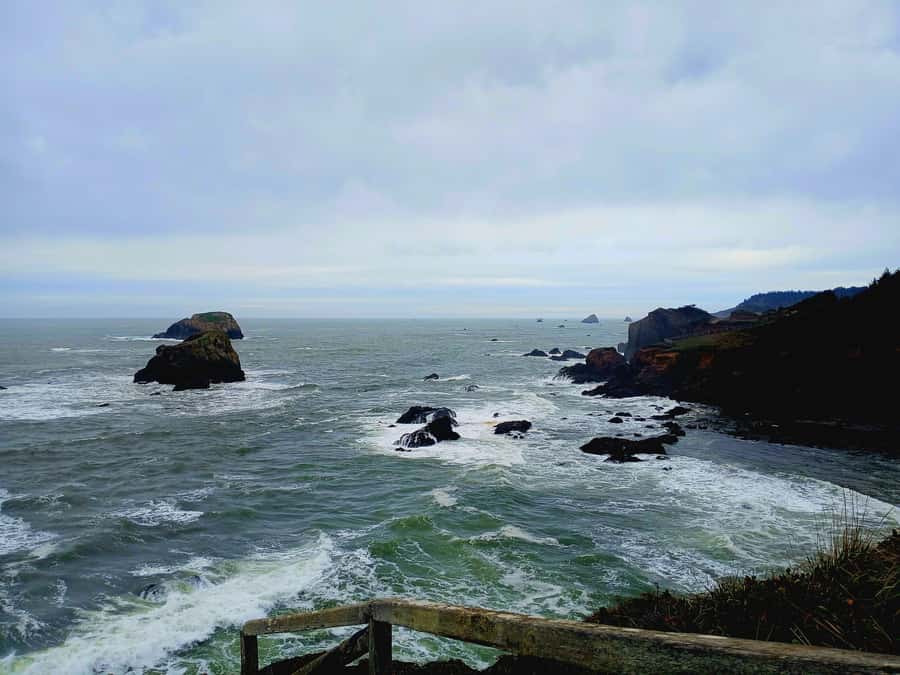 Trinidad: Elk Head Trail Guided Nature Walking Tour - Why This Tour Works Well