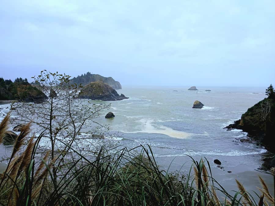 Trinidad: Elk Head Trail Guided Nature Walking Tour - Final Thoughts