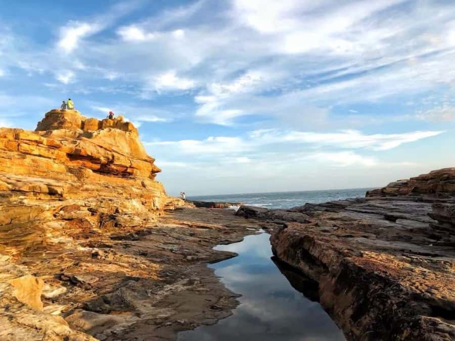 Wakayama: Day Trip to Shirahama Beach & Kuroshio Market - Key Points