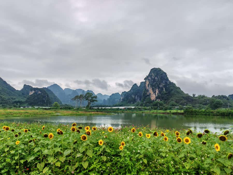 From Guangzhou: Cave Wonderland & Jungle ATV Day Trip - Practical Tips for Travelers