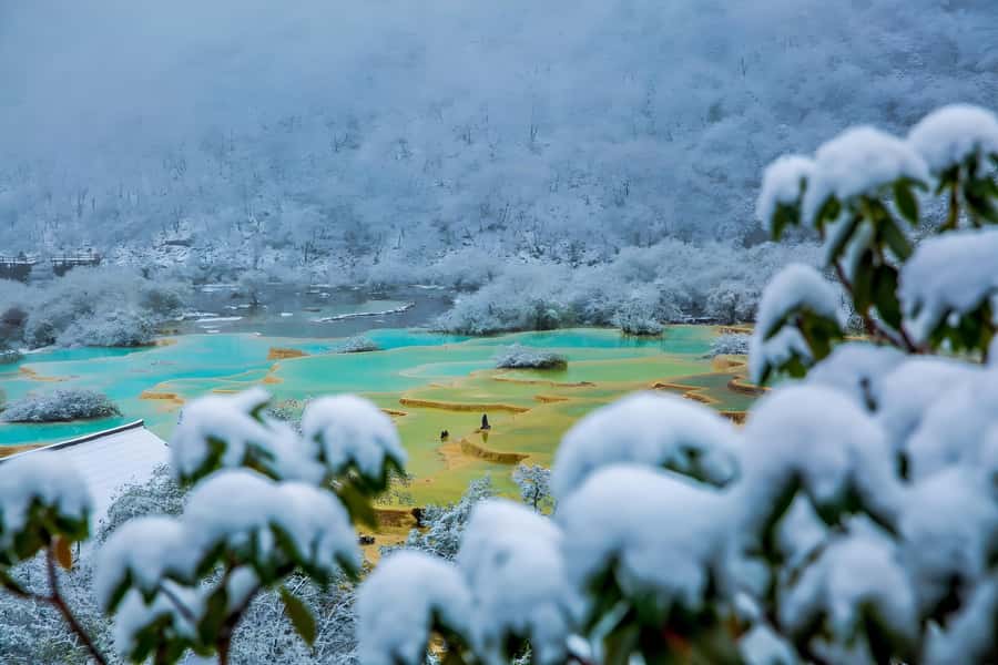 Sichuan: Huanglong Scenic Area Ticket - Tour Logistics and Practical Tips