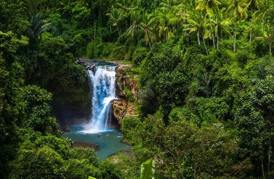 Ubud: Cultural Escape Tegenungan Waterfall, Palace & Temples - Exploring Ubud’s Natural Beauty: Tegenungan Waterfall