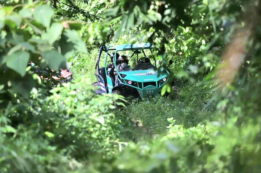 Samui: Jungle 4WD Buggy Experience with Mountain-view Lunch - What to Expect from the Koh Samui Jungle 4WD Buggy Tour