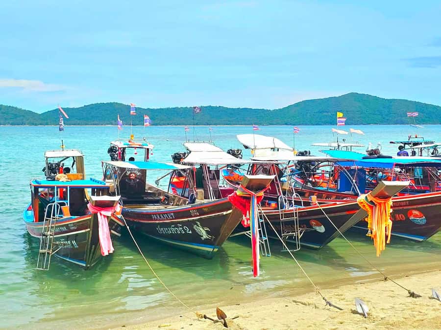 Koh Samui: Pig Island & Koh Tan Longtail Boat with Snorkel - FAQ