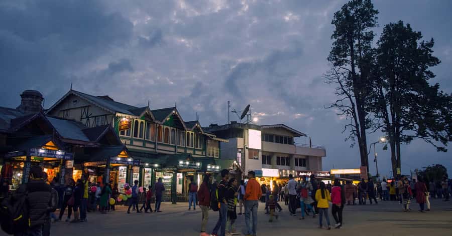 From Tokyo Mt. Fuji Private Tour In Prado Fully Adjustable - Why Choose This Tour?