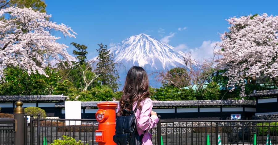From Tokyo Mt. Fuji Private Tour In Prado Fully Adjustable - FAQ