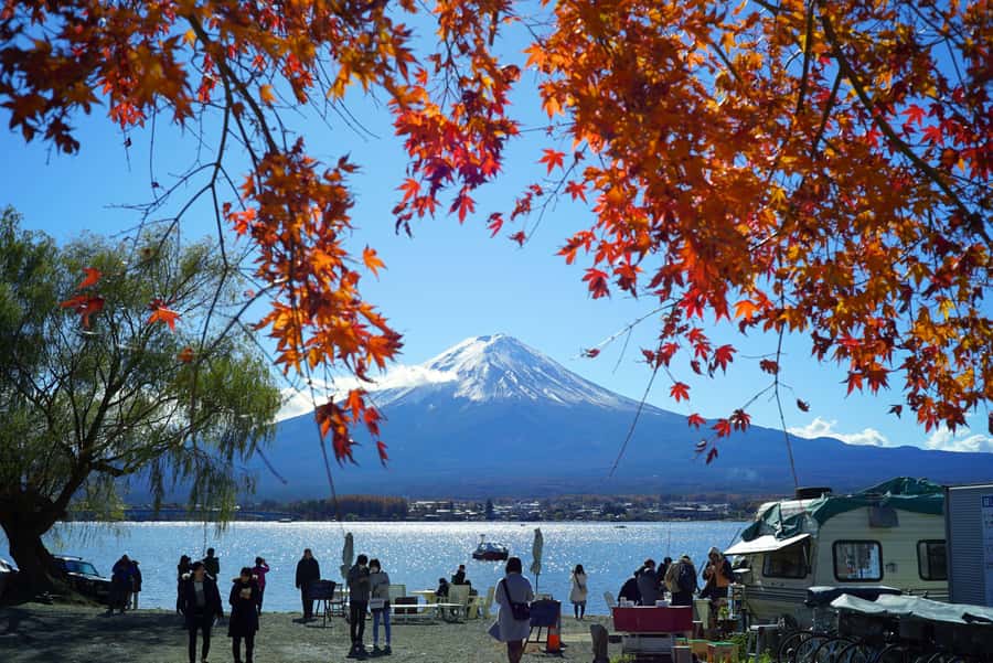 From Tokyo Mt. Fuji Private Tour In Prado Fully Adjustable - Key Points