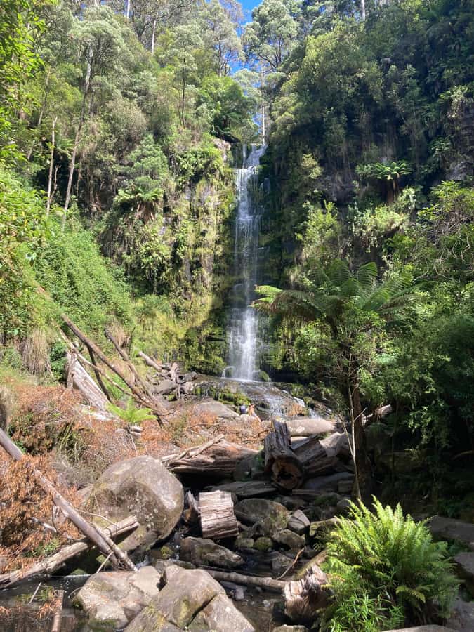 The Great Ocean Road Private Day Trip - Transportation and Comfort