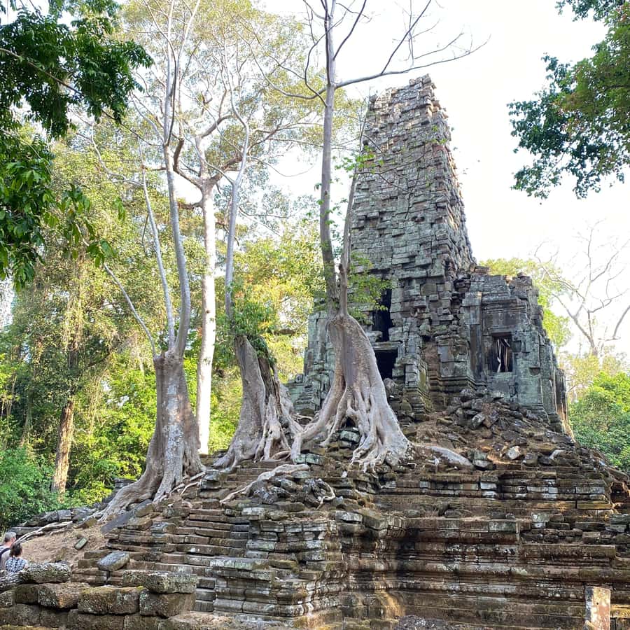 Siem Reap: Angkor Wat & Ta Prohm 4-Hour Afternoon Jeep Tour - What To Expect and Why It Matters