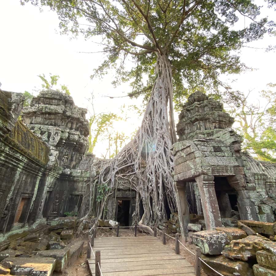 Siem Reap: Angkor Wat & Ta Prohm 4-Hour Afternoon Jeep Tour - The Sum Up