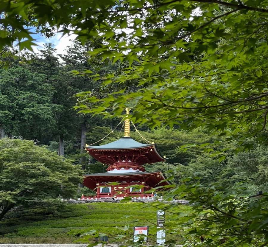 Kyoto: Hiroshima and Miyajima Day Trip with Guide - The Sum Up