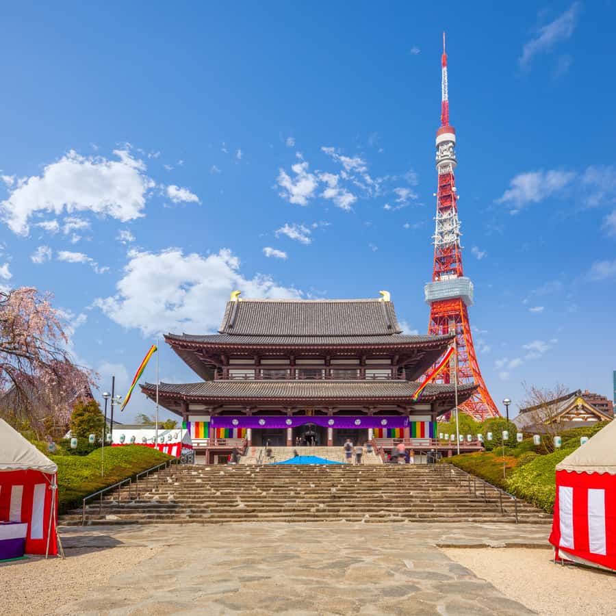 Tokyo: Tokyo Full Day Private Customized Tour - Exploring Tokyo: A Hands-On, Fully Personalized Day