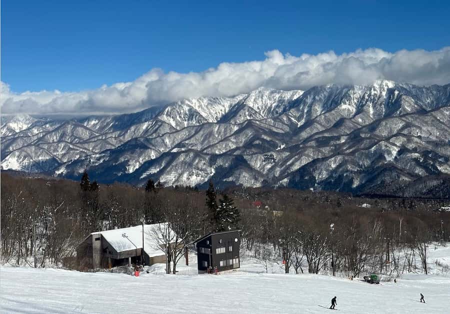 Hakuba: Full-Day Ski & Snowboard Experience - Key Points