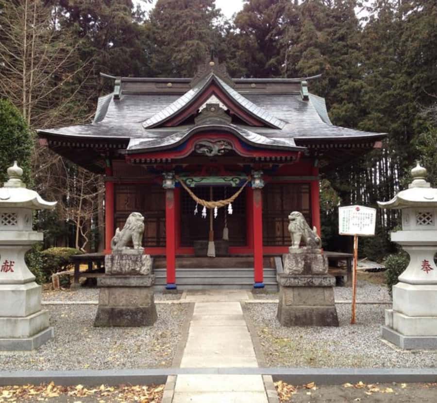 From Tokyo: Mount Fuji & Hakone Private Customizable Tour - A Detailed Look at the Experience