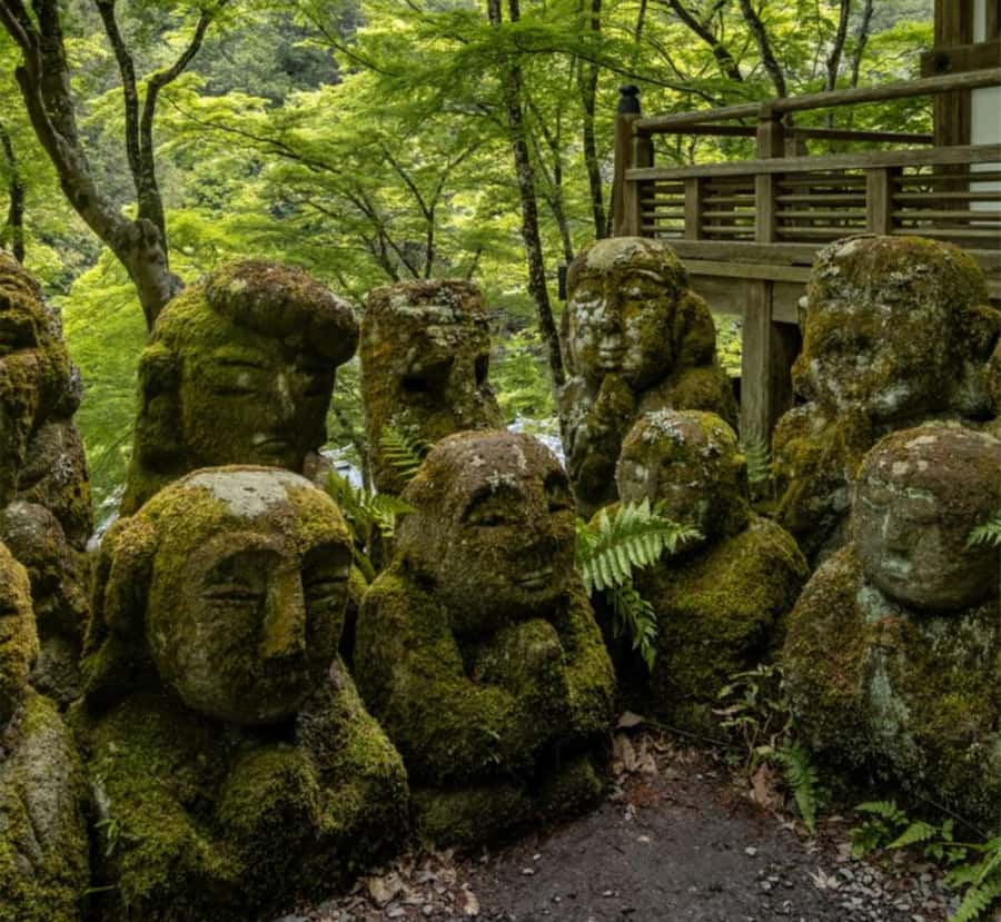 From Tokyo: Snow Monkey & Zenko-ji Temple Private Tour - Key Points