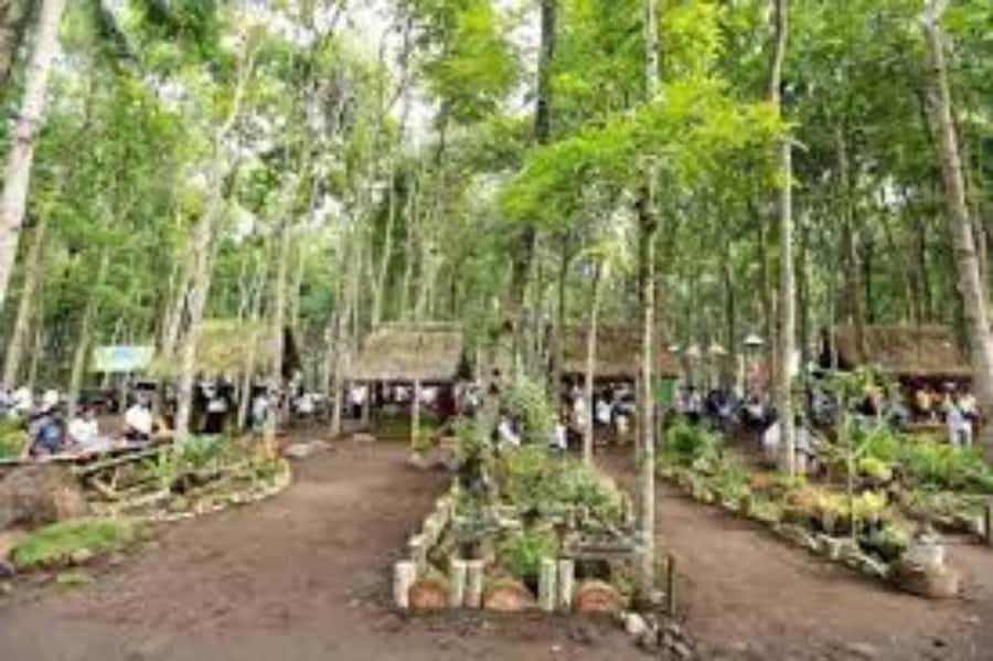 Banyuwangi: Kalibaru Train Adventure & Cultural Tour - Good To Know  