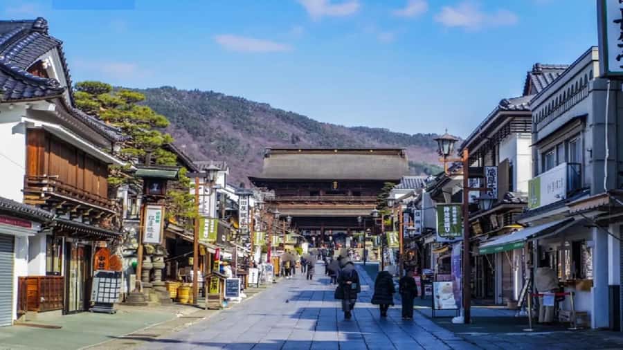 Shizuoka: Nagano Snow Monkey Park Private Day Trip - Practical Tips & Considerations