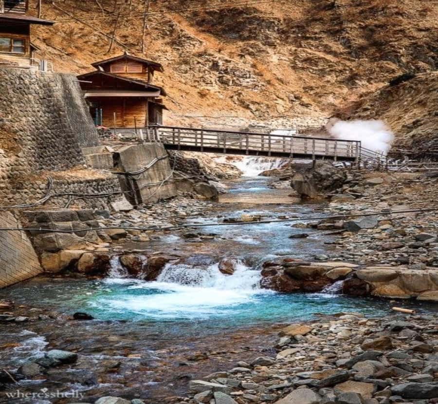 Shizuoka: Nagano Snow Monkey Park Private Day Trip - Shizuoka: Nagano Snow Monkey Park Private Day Trip - A Detailed Review