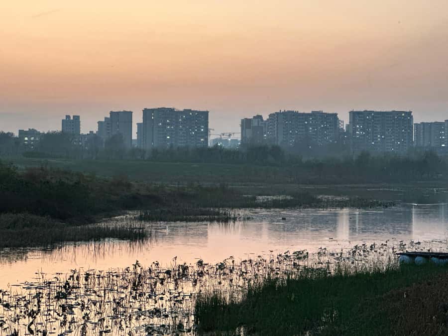 Beijings Hidden Waterways: Walking Tour with Dinner - The Experience: What You Can Expect