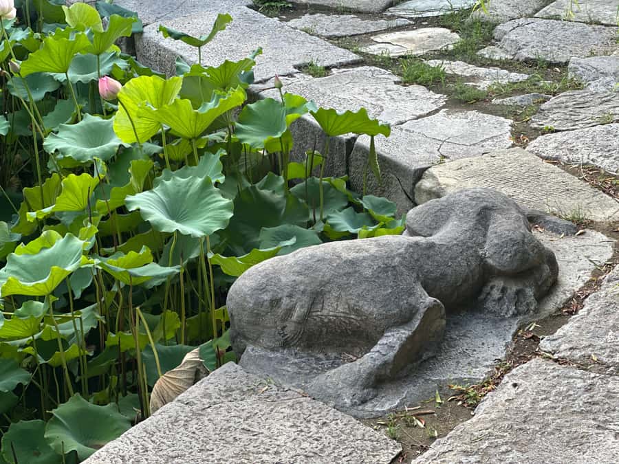 Beijings Hidden Waterways: Walking Tour with Dinner - The Itinerary: A Day of Discovery and Delights