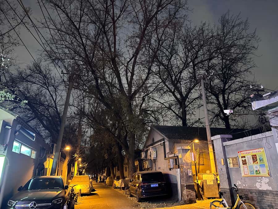 Beijings Hidden Waterways: Walking Tour with Dinner - The Sum Up