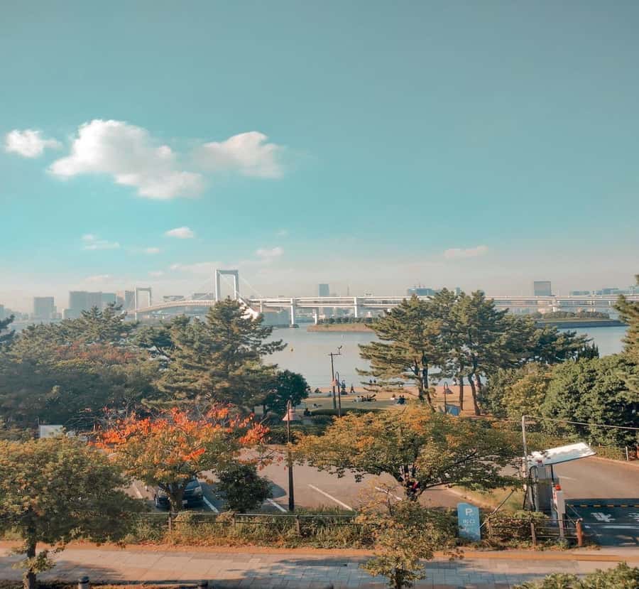 From Nikko: Tokyo Art, Architecture, and Skyline Tour - Final Thoughts