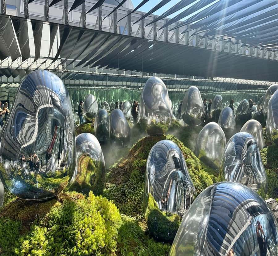 From Nikko: Tokyo Art, Architecture, and Skyline Tour - The Journey in Detail: What to Expect