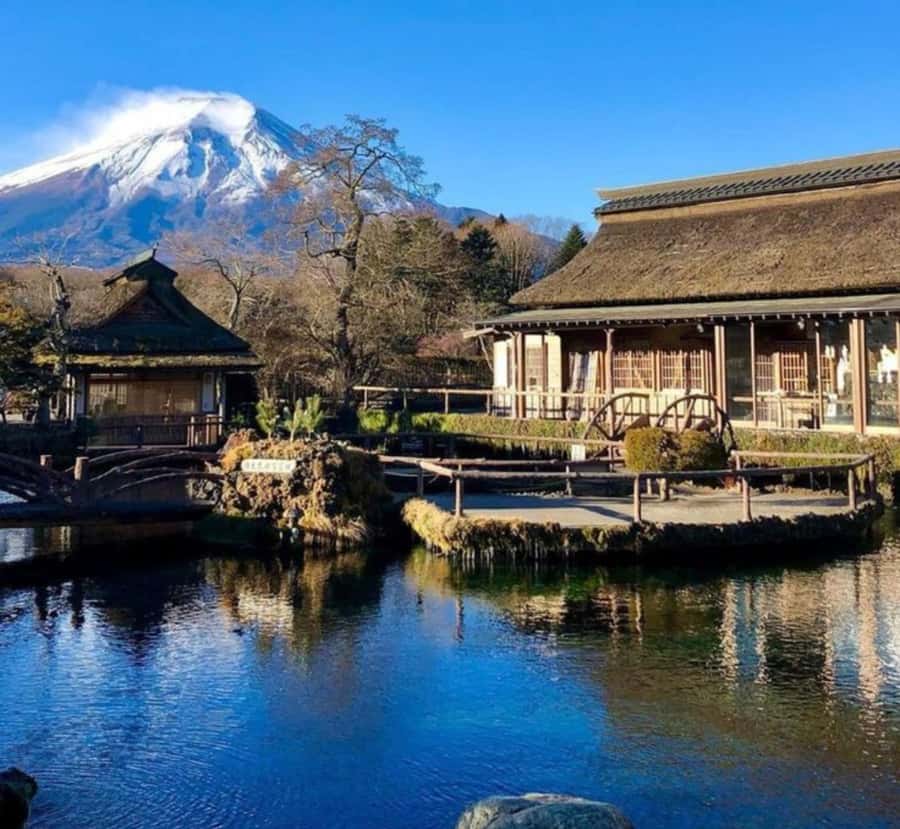 From Tokyo: Mount Fuji Private Tour with English Guide - Key Points