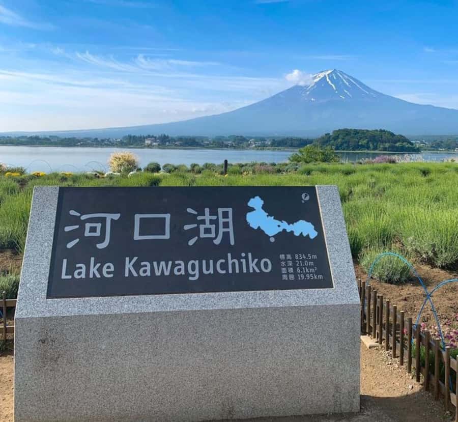 From Tokyo: Mount Fuji Private Tour with English Guide - An In-Depth Review of the Mount Fuji Private Tour