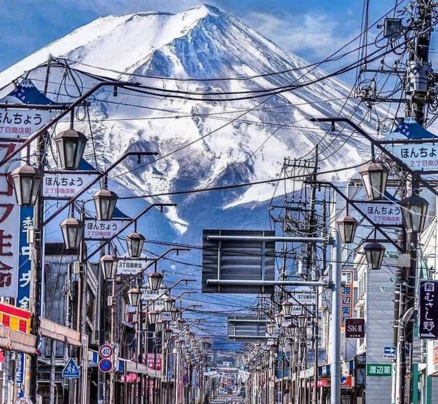 From Tokyo: Mount Fuji Private Tour with English Guide - FAQs