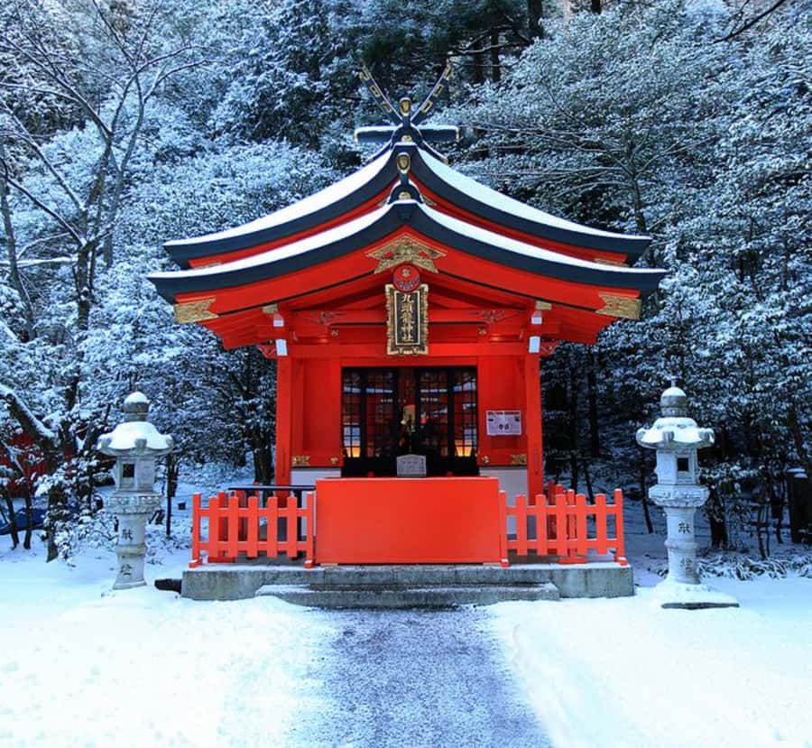 From Tokyo: Mount Fuji & Hakone Private Customizable Tour - Transport and Pacing: Why It Matters