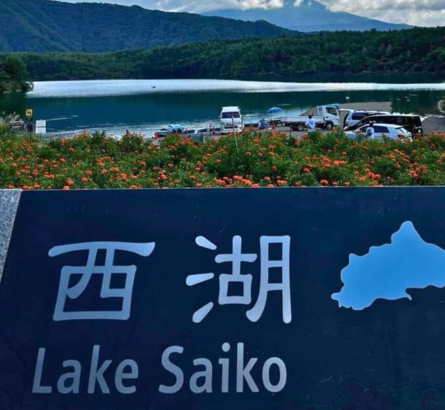 From Tokyo: Mount Fuji & Hakone Private Customizable Tour - What Makes This Tour Stand Out?