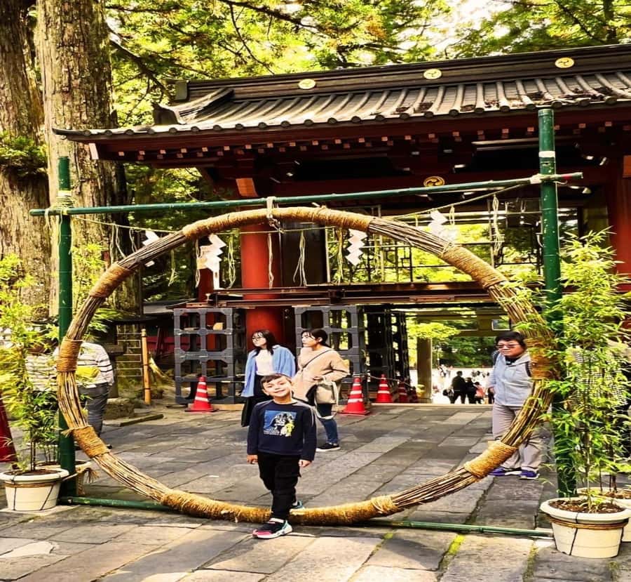 Shimizu: Nikko Private Historical & Spiritual full-day Tour - Travel Details and Practical Tips